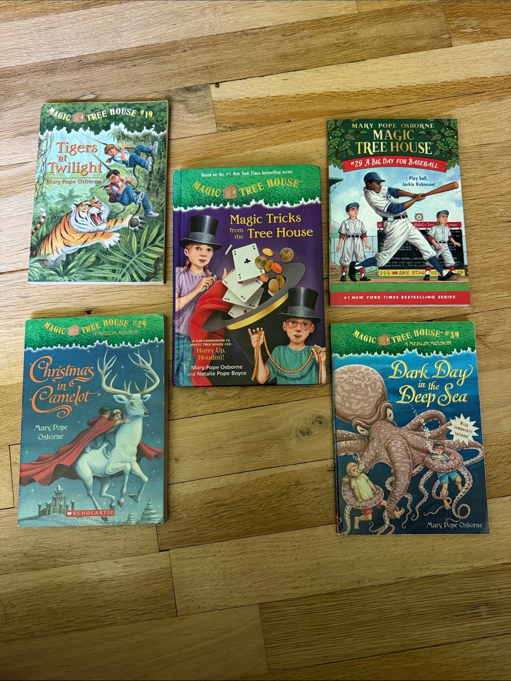 Set of 5 Scholastic Magic Tree House Kids Book Lot